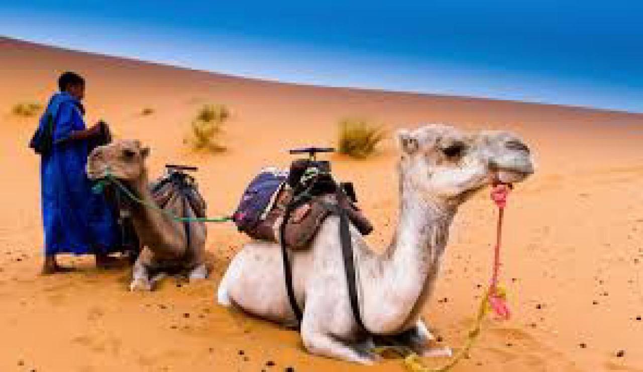 Les Pyramides Hotel Merzouga Bagian luar foto